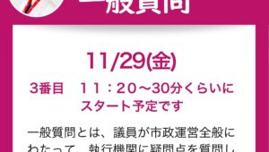 船橋市議会　一般質問　中谷あやの